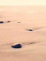 Cultivating My Empre