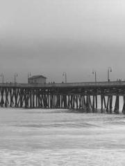 lt;Marry at first si