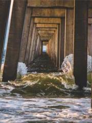 The Return of the Go