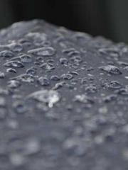 Ling Hao Qin Yuxin R