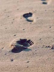 The Poisonous Doctor