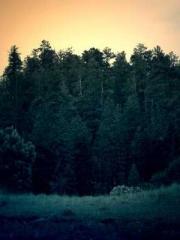 lt;Mr. Bao, Mrs. Bao