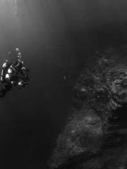 My seven stunning an