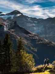 The Exclusive Daught