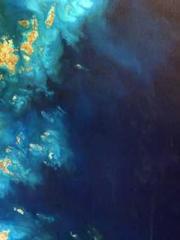 One Night Marriage P