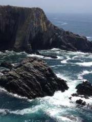 Rebirth in 1970: Eat