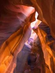 My Sweet Wife: The C