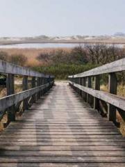 One Night of Indulge