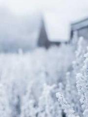 lt;lt;lt;Reborn Soar