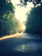 A Heavenly Gift: The