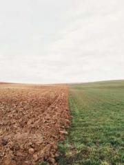 King of the Nine Pro