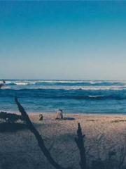 Eternal Sword Ancest