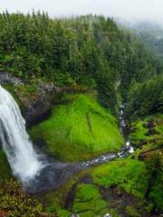 Fāng Chénlín Xuěyán