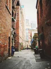 lt;Marry at first si