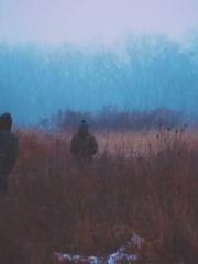 The Daring Wife of a