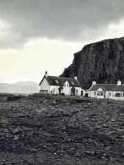 The Best Little Body