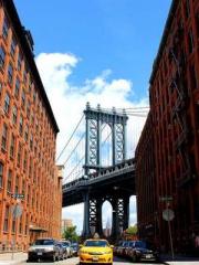 The Imperial Concubi