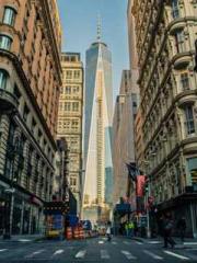 lt;lt;lt;lt;Yearning