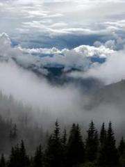 Bones-Eating Marriag