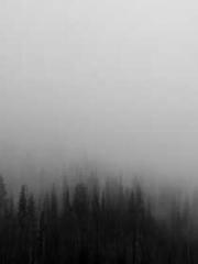 Spoil you in my arms