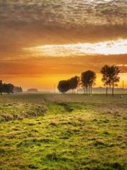 My Amazing Female Te