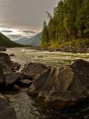 Jiang Mingzhu Zhou L