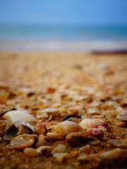 lt;lt;Know Green, Do